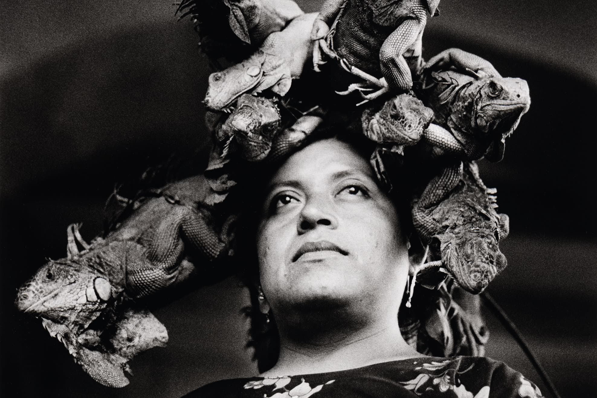 Schau im Dom Museum über das Verhältnis Tier und Mensch – Dom Museum Wien