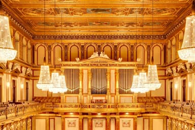 Pannon Philharmonic Orchestra • Gergely Kesselyák - Klassik & Oper in Musikverein, wien