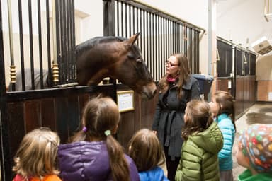Spanische Hofreitschule - Spezialführungen für Kinder - Bildung & Workshops in Spanische Hofreitschule, wien