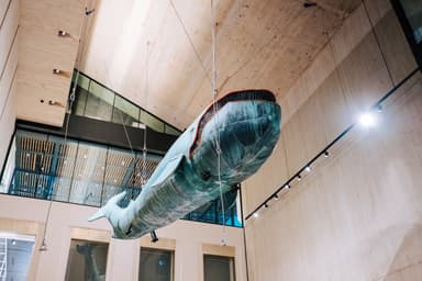 Wien. Meine Geschichte - Museen & Ausstellungen in Wien Museum Karlsplatz, wien