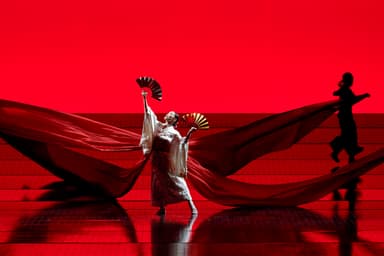 Madama Butterfly - Theater & Comedy in Wiener Staatsoper, wien