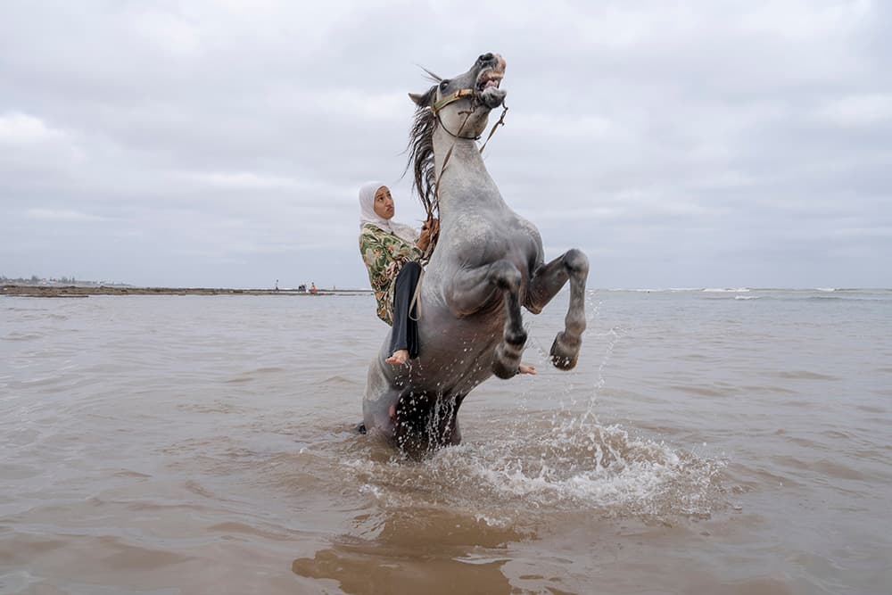 World Press Photo 2026 – WestLicht - Schauplatz für Fotografie