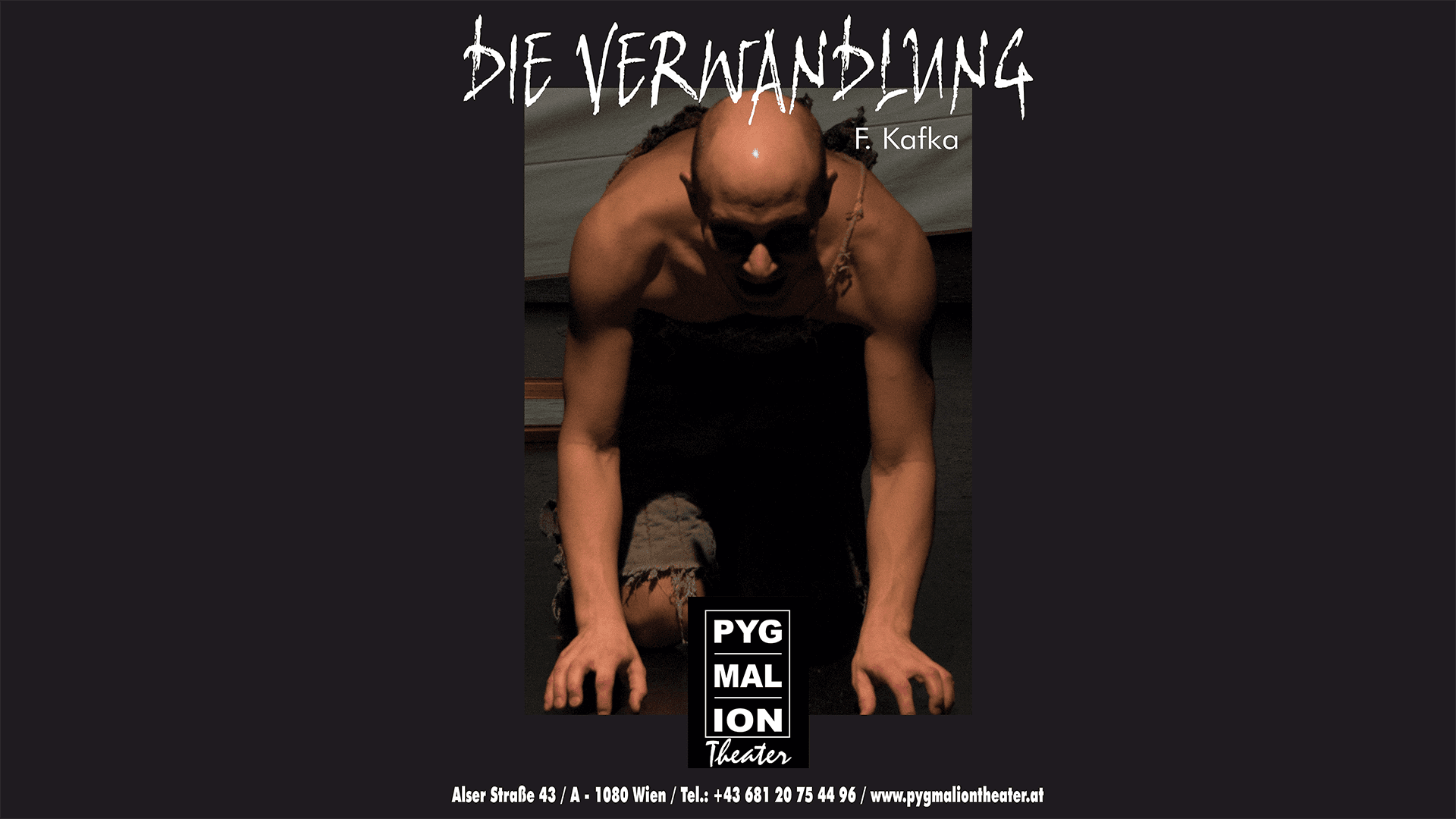 DIE VERWANDLUNG von Franz Kafka – Pygmalion Theater Wien