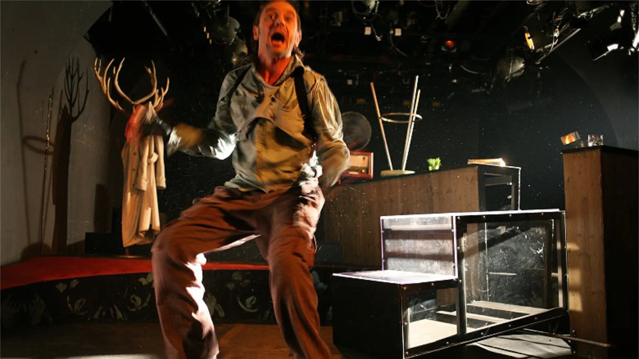 JUNGES THEATER FLORIDSDORF / Die Wanze – Ein Insektenkrimi / 8-12 Jahre – VHS Großfeldsiedlung