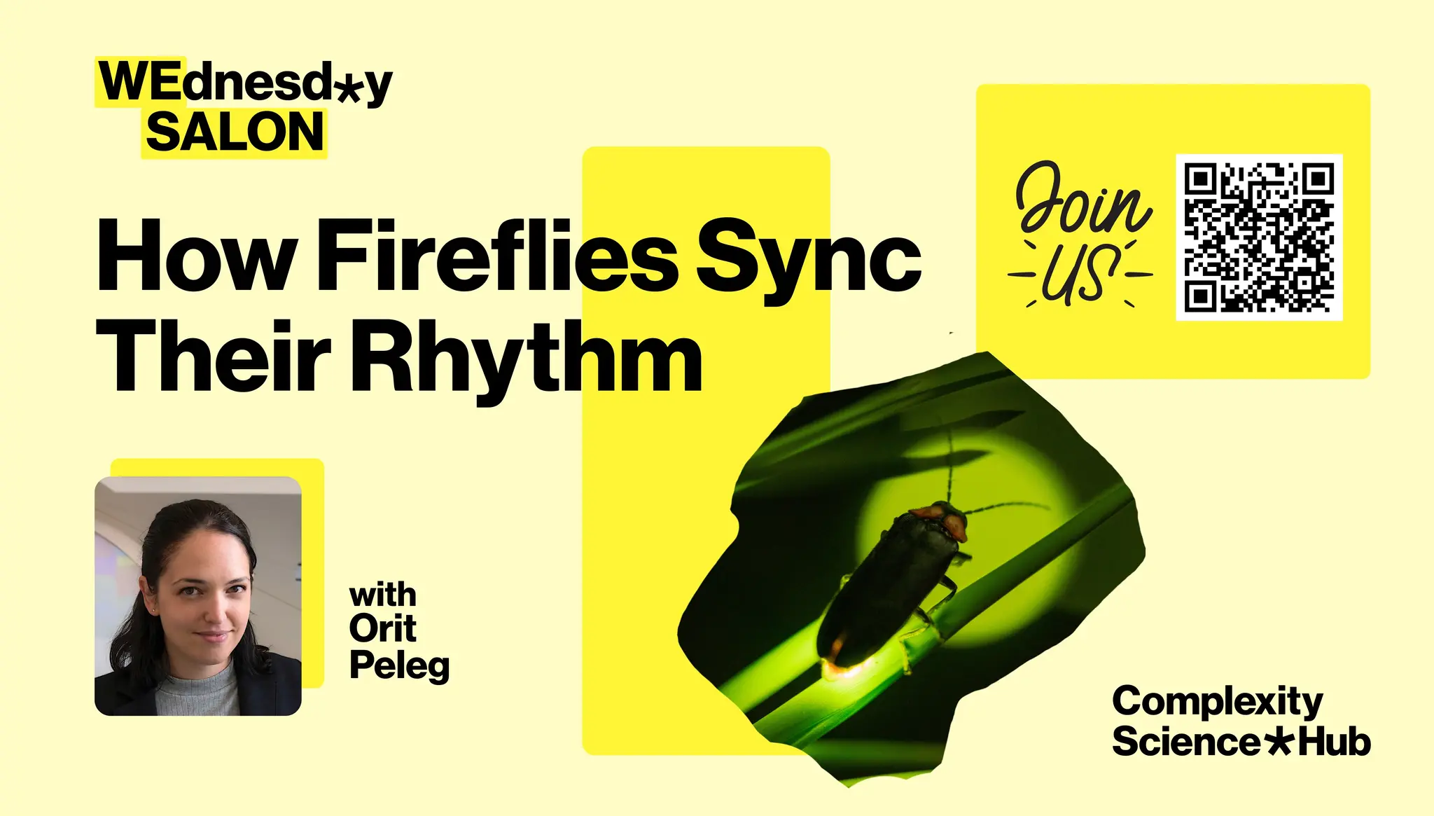 WEdnesday SALON – How Fireflies Sync Their Rhythm