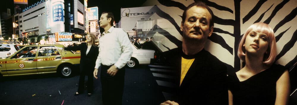 Lost in Translation – Bellaria Kino