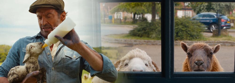Glennkill: Ein Schafskrimi – Cine Center