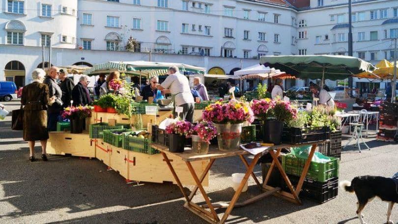 Marktfuehrung Schlingermarkt