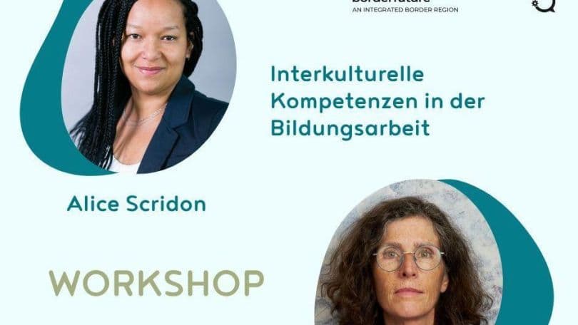 Interkulturelle Kompetenzen in der Bildungsarbeit