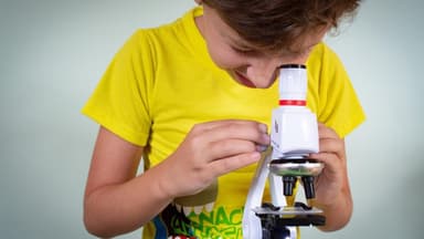 Wissenschafts-Werkstatt - Bildung & Workshops in Wissens°raum, die Werkstatt für Neugierige, wien
